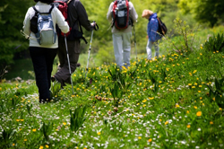 Four people walking on the grass